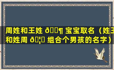 周姓和王姓 🐶 宝宝取名（姓王和姓周 🦅 组合个男孩的名字）